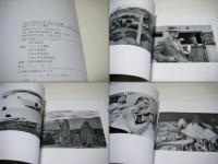 アンリ・カルティエ=ブレッソン展 : 写真から絵画への軌跡