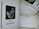 Amaranth : Sakata photography