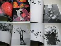 花人生 : 荒木経惟