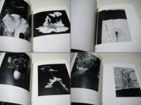 Paul Caponigro: Photography 25 years 