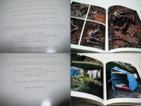 Down the Road of Life