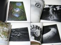 廃園／東松照明作品集 廃園 東松照明作品集(東松照明 Shomei Tomatsu