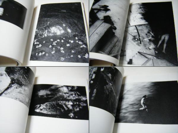 廃園 東松照明作品集 - 古本買取販売 ハモニカ古書店 建築 美術