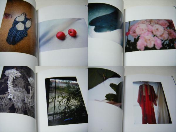 one Days 石内都 MIYAKO ISHIUCHI(石内都) / 古本、中古本、古書籍の