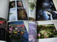 FIVE　SEASONS　Muneyoshi　Tsushiya　つちやむねよし　サイン入