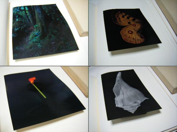 Into The Silent Land ： Yoshihiko UEDA 上田義彦