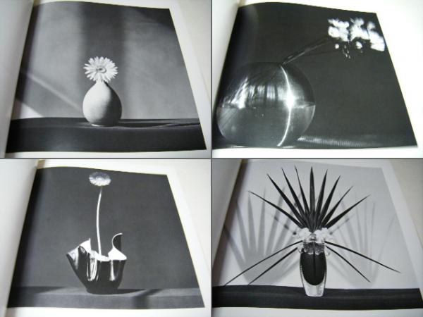 Robert Mapplethorpe / ロバート・メイプルソープ 花◆洋書 40404b5515d090d278dd91b36a8927