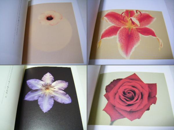 Graceful Flower 雅花 森雅美 歌人 雨宮雅子 定価 3800円 森雅美 歌人 雨宮雅子 ミキ書房 古本 中古本 古書籍の通販は 日本の古本屋 日本の古本屋 Graceful Flower 雅花 森雅美 歌人 雨宮雅子 定価 3800円 森雅美 歌人 雨宮雅子 ミキ書房 古本 中古本 古書籍の通販は 日本の古本屋 日本の古本屋