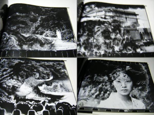 死現実 荒木経惟(荒木経惟) / 古本、中古本、古書籍の通販は「日本の