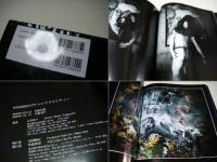 Synchronicity　シンクロニシティー : Naoko Yamagishi visual world　山岸直子