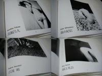 日本の裸像　Nude Photographs of Japan