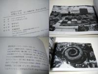 市場んちゅ　那覇市第一公設市場　豊里友行写真録