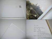 空に泳ぐ = Fly in the Sky 澄毅
