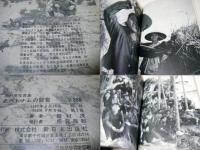 北ベトナムの証言　みな殺し作戦の受態