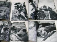 北ベトナムの証言　みな殺し作戦の受態