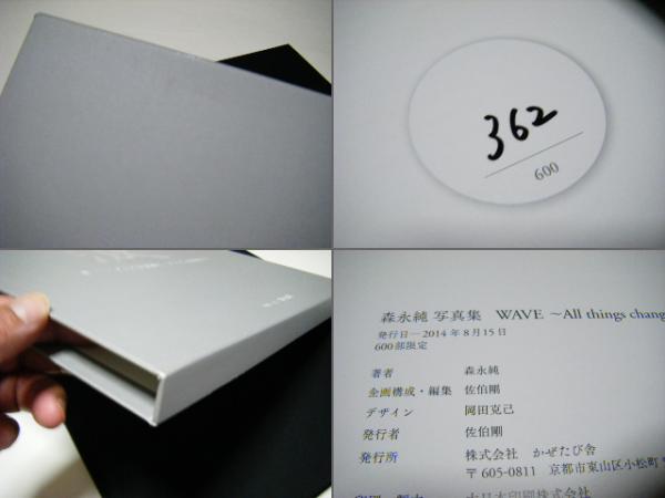 波 WAVE 森永純 Wave ～all things change 限定600部 / 古本、中古本