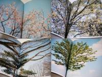 Tree Tops Tall　　Neil Drabble　ニール・ドラブル　サイン入
