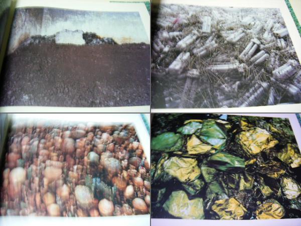 Waste 伊奈英次写真集(Eiji Ina ; introduction by Toshiharu