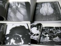 裸像伝説 : 1945-1960 Legend of the nude