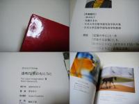 透明な壁のむこうに : 澤本玲子写真集 ＜Bee books For your imagination 3＞