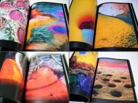 ice painting　アイスペインティング 原田雅嗣