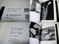 Slice of memories : 記憶の変容