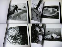 Slice of memories : 記憶の変容