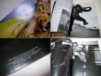 A Letter To True: A Film Journal by Bruce Weber