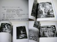 Sebastião Salgado essays