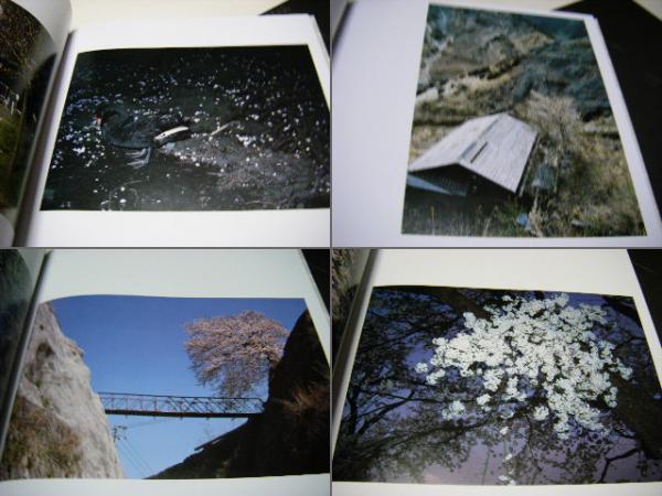 さくら 桜 サクラ 120 日本の詩人、飯島耕一宛献呈サイン入(東松照明
