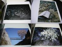 さくら　桜　サクラ　120　　日本の詩人、飯島耕一宛献呈サイン入