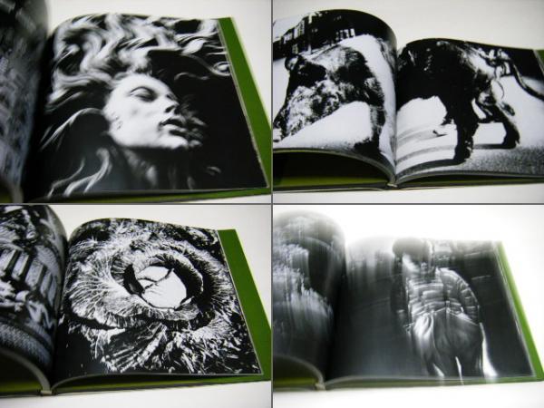 続にっぽん劇場写真帖 Japan Photo Theater Ⅱ (森山大道 Daido