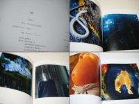 一山 　Issan 　古賀絵里子写真集　デットストック品