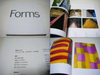 与えられた形象　辰野登恵子　柴田敏雄　出品リスト、チラシ付　Given forms 　Tatsuno Toeko, Shibata Toshio　大型本