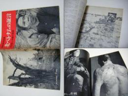 北ベトナムの証言 : みな殺し作戦の実態 田村茂写真集