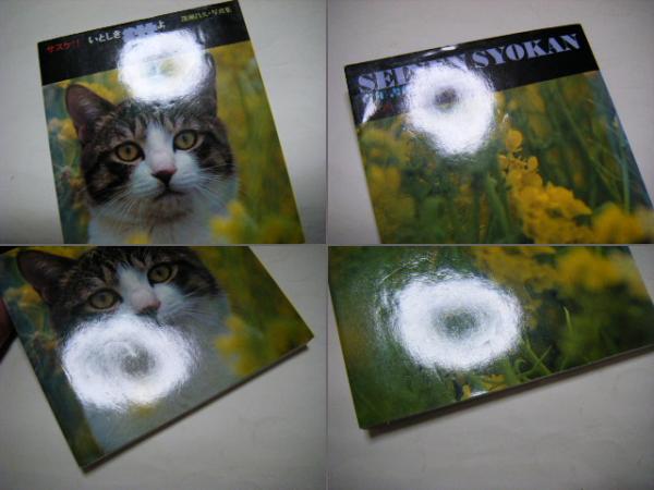 サスケ!!いとしき猫よ(深瀬昌久 Masahisa Hukase) / ミキ書房 / 古本 サスケ!!いとしき猫よ(深瀬昌久 Masahisa Hukase) / ミキ書房 / 古本