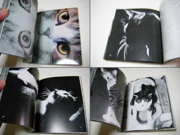 サスケ!!いとしき猫よ(深瀬昌久 Masahisa Hukase) / 古本、中古 サスケ!!いとしき猫よ(深瀬昌久 Masahisa Hukase) / 古本、中古