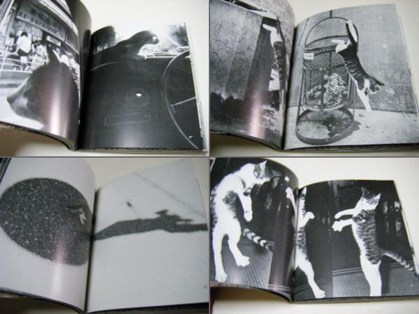 サスケ!!いとしき猫よ(深瀬昌久 Masahisa Hukase) / 古本、中古