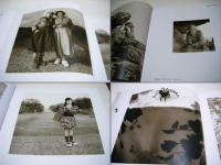 Big Bend Pictures