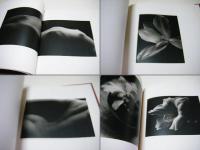 Kenro Izu: Still Life 井津建郎