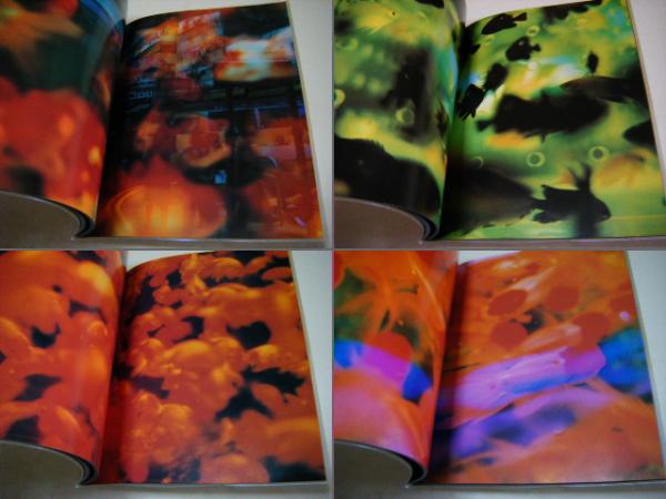 リキッド・ドリームス : 蜷川実花写真集(蜷川実花 撮影) / 古本、中古