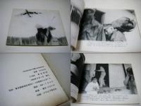 OKINAWA沖縄OKINAWA : 写真集