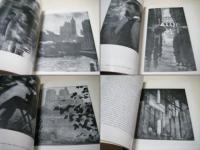 Photo-Secession: Stieglitz and the Fine-Art Movement in Photography