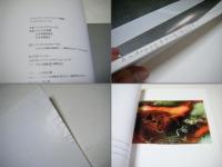 アンドレアス・ファイニンガー写真展 : ペンタックス・ワークス