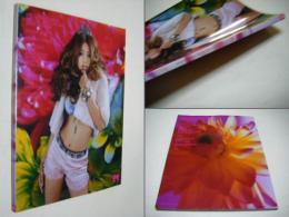 MIKA NINAGAWA SPECIAL DIRECTION !!　2009-2010AW