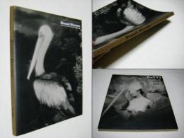 宮澤正明赤外写真集 : 1979-1999