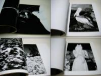 宮澤正明赤外写真集 : 1979-1999