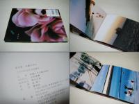 夏芙蓉 : 沖縄2003