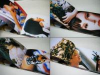 夏芙蓉 : 沖縄2003