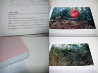 NAOYA YOSHIOKAWA　Photographs